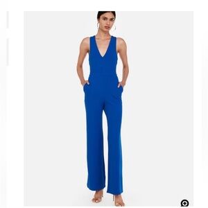 Express V-Neck Wide-Leg Jumpsuit